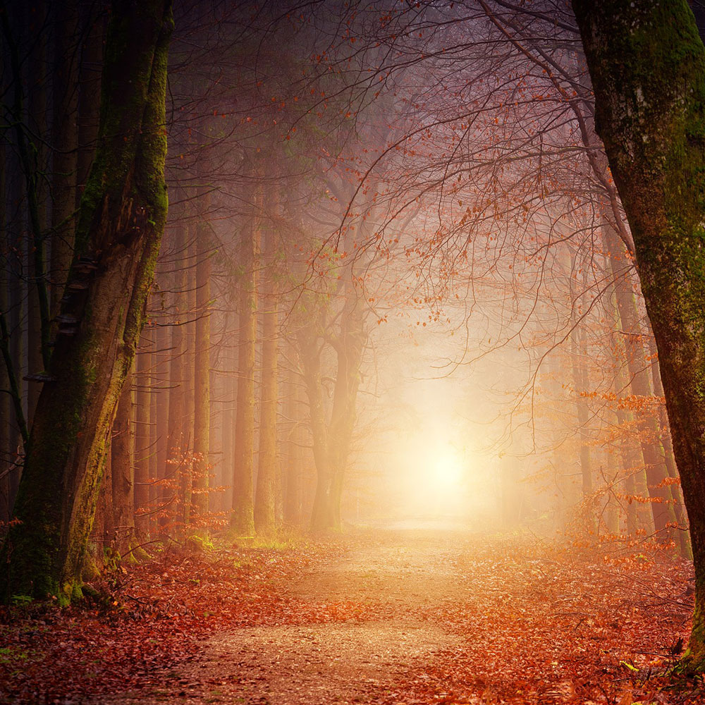 Düfte, auf die Sie diesen Herbst achten sollten – Herbstduft