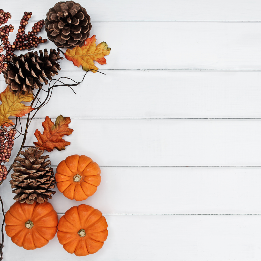 How to embrace fall scents this autumn – we list our favorite fall fragrances