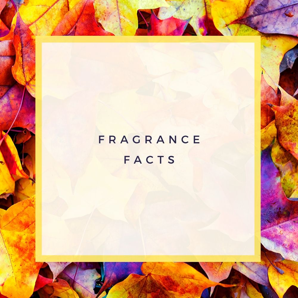 Fakten über Düfte – zum Welttag des Parfums